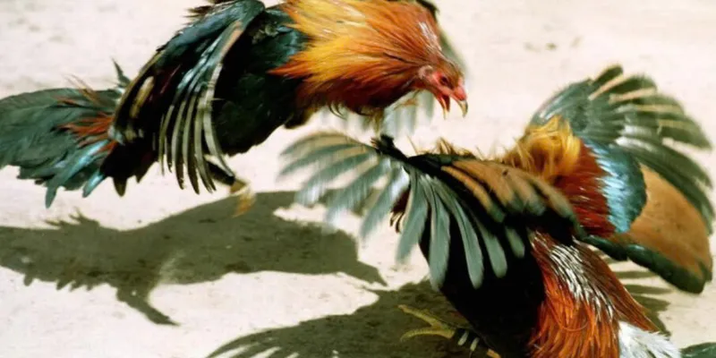Kinh nghiệm có lợi nhất
