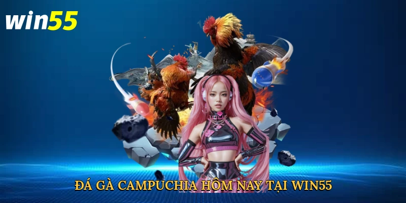 da-ga-campuchia-hom-nay-tai-win55-2