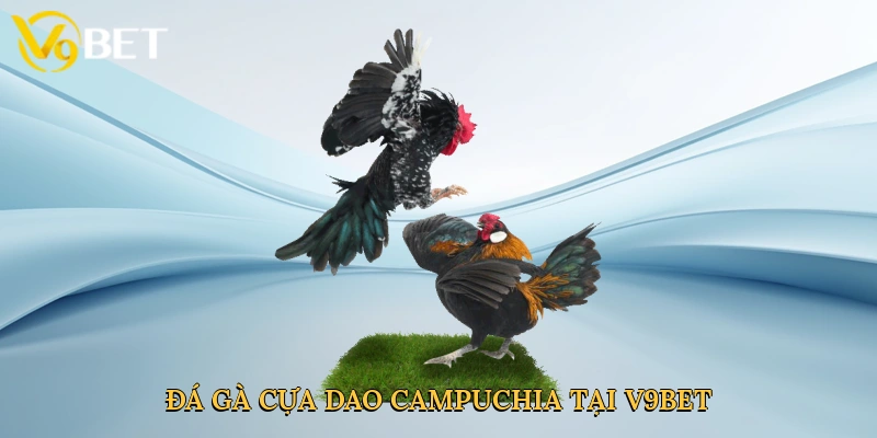 Đá gà cựa dao Campuchia tại V9bet mở ra thế giới cá cược đỉnh cao
