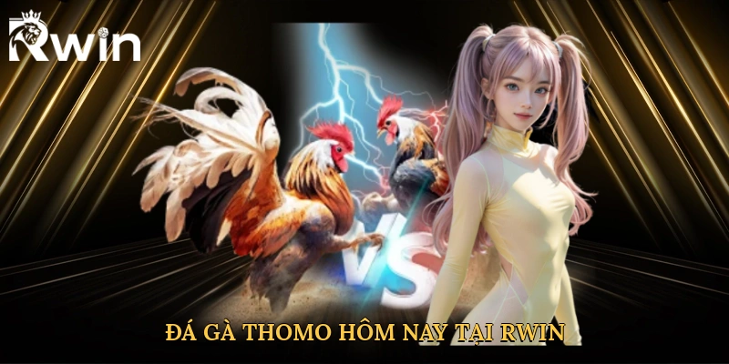 Đá gà Thomo hôm nay tại Rwin mở ra thế giới cá cược đỉnh cao