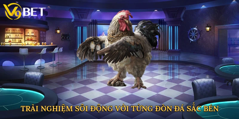 Trải nghiệm sôi động với từng đòn đá sắc bén